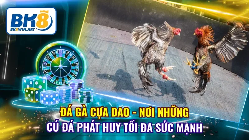 Đá Gà Cựa Dao