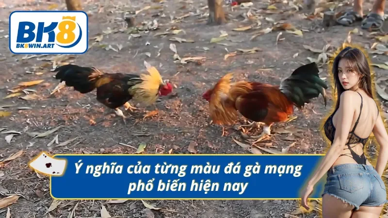 Ý nghĩa của từng màu đá gà mạng trong trận đấu