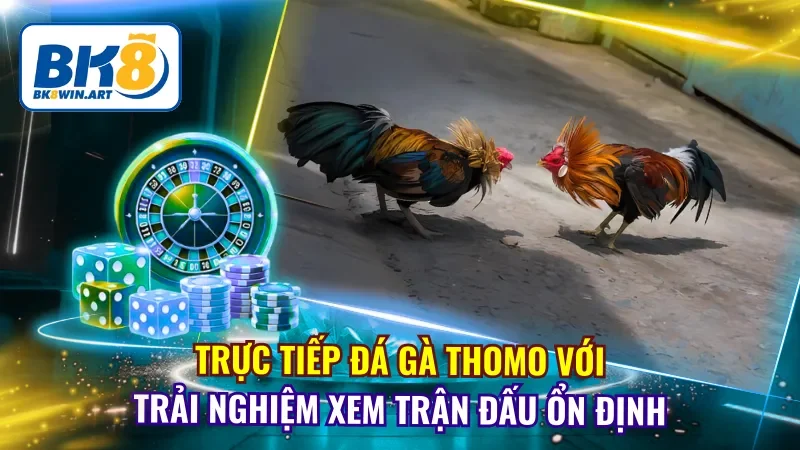Trực Tiếp Đá Gà Thomo